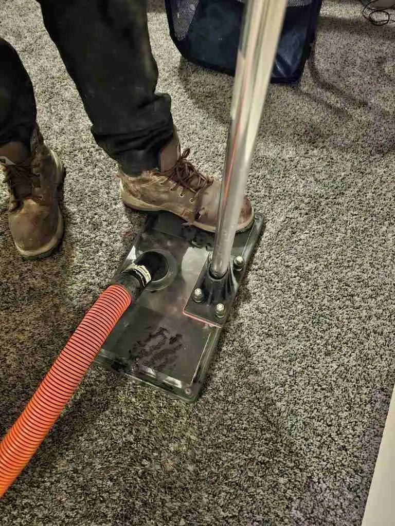 Rapid Response technician extracting water from carpet with an extraction wand