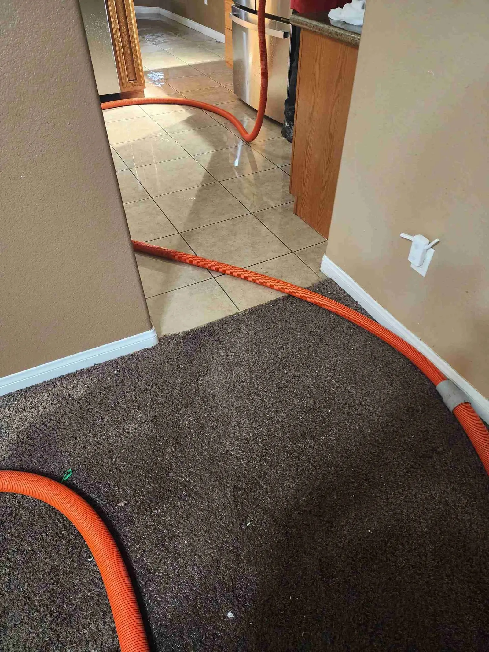 Extraction hose running through a doorway onto wet carpet after a pipe burst on a Rapid Response job
