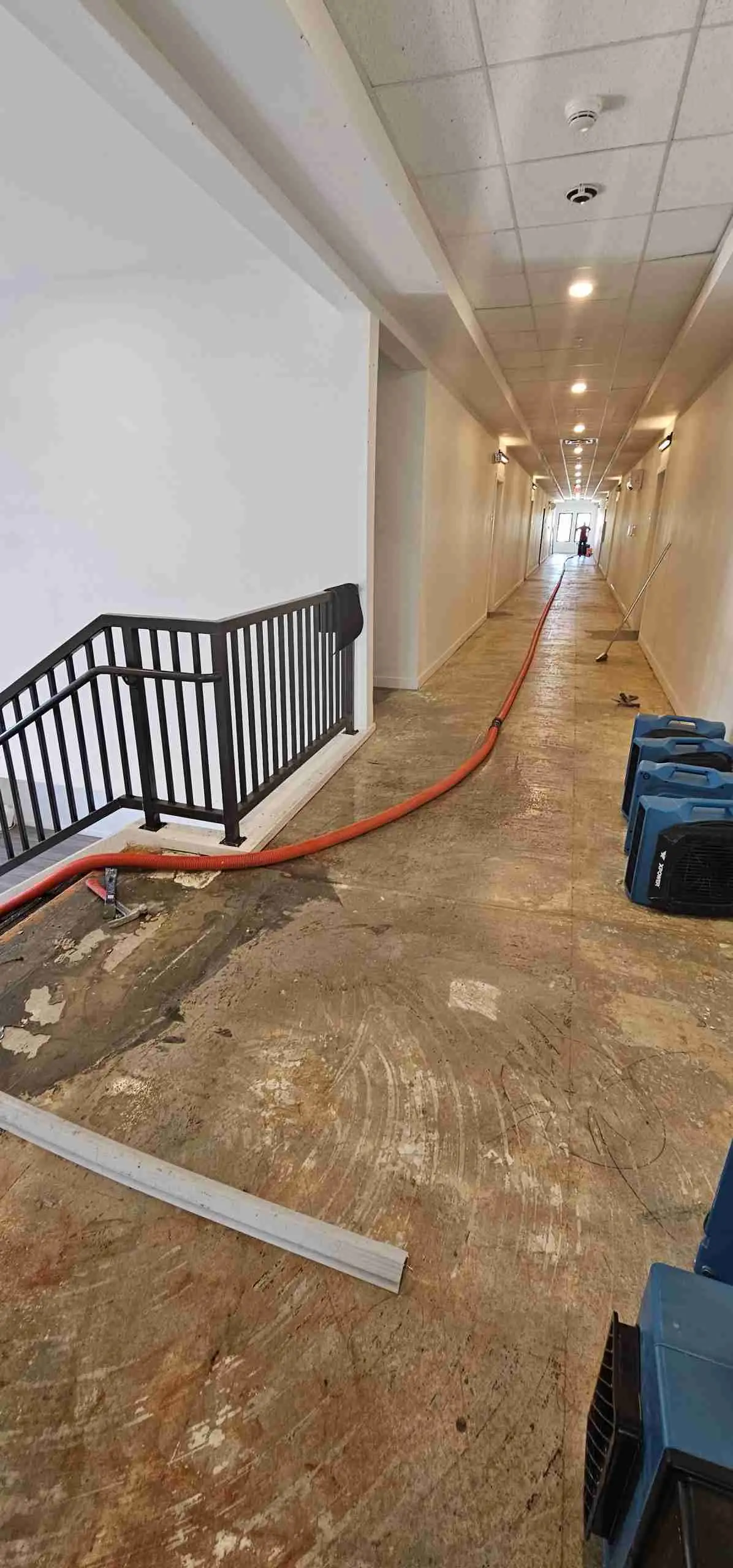Extraction hoses and drying equipment in a long hallway during cleanup on a Rapid Response job